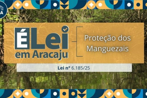 É Lei em Aracaju: aprovada a legislação que fortalece a proteção e o uso sustentável dos manguezais